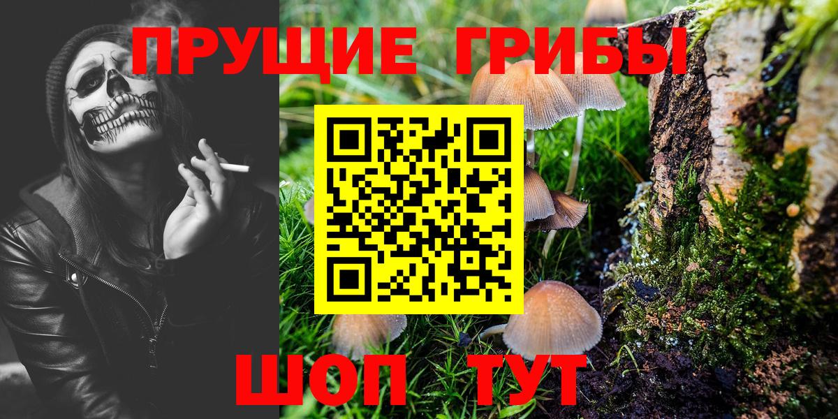 Галлюциногенные грибы Psilocybe  Вход с VPN  Галлюциногенные грибы Cubensis  Новочебоксарск 
